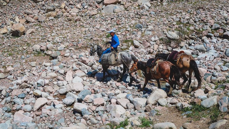 A horse rider carefully guiding pack horses across a rocky riverbed during the 3-Day Panorama Trek in Kyrgyzstan, navigating the challenging mountain terrain under the sun