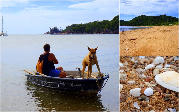 Horseshoe Bay on Magnetic Island featuring beach views, macro shell details and a man and dog on a rowboat in Queensland, Australia