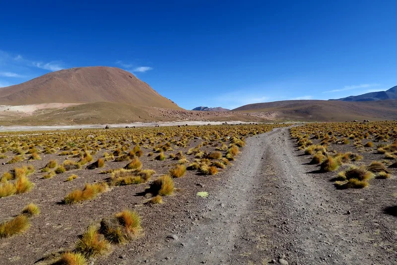 How to Survive Overnight Bus Travel in South America