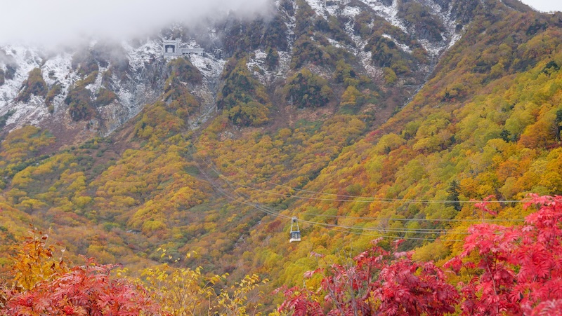 Incredible ropeway journey on the Tateyama Kurobe Alpine Crossing in Japan 