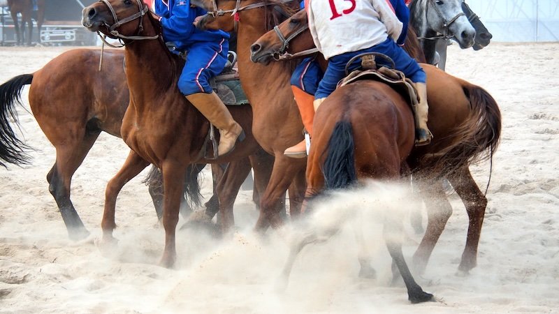 Intense Kok Boru action at the World Nomad Games with horses kicking up dirt 