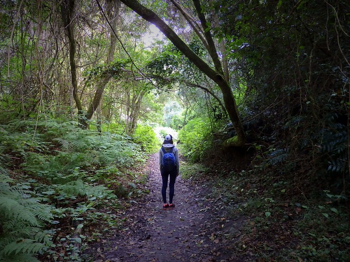 Into the woods walking on a trail path in Wilderness, South Africa with That Backpacker Audrey Bergner admiring the natural beauty 