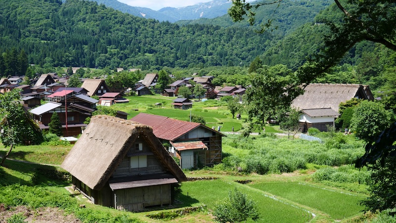 Japanese farmhouses framed by foreground foliage in Shirakawa village, Japan Japanese farmhouses framed by foreground foliage in Shirakawa village, Japan