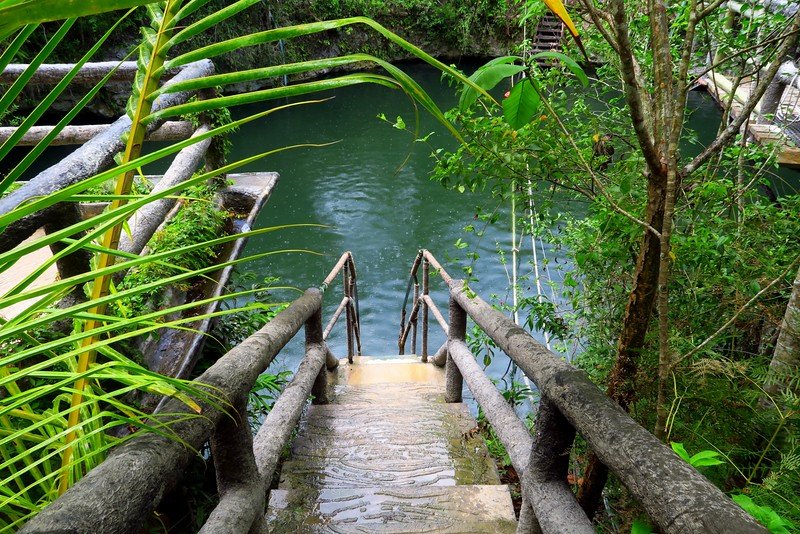 Wooden stairs leading down into a jungle cenote with emerald water near Playa del Carmen, Mexico