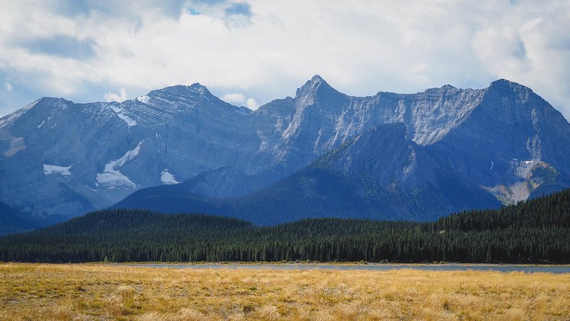Dramatic rocky peaks rise above dense evergreen forest and golden alpine meadows in Kananaskis Country, showcasing the rugged mountain scenery encountered on a Canadian Rockies road trip
