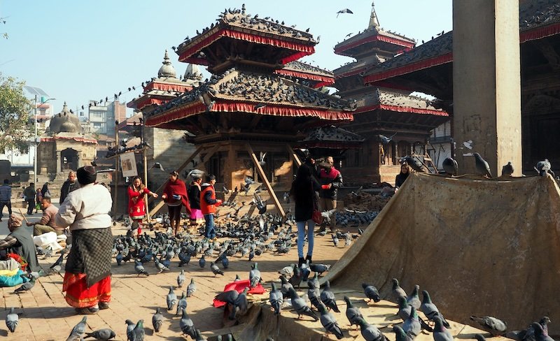 Bustling Durbar Square in Kathmandu filled with pigeons, local vendors, and visitors exploring historic temples and vibrant daily life in Nepal