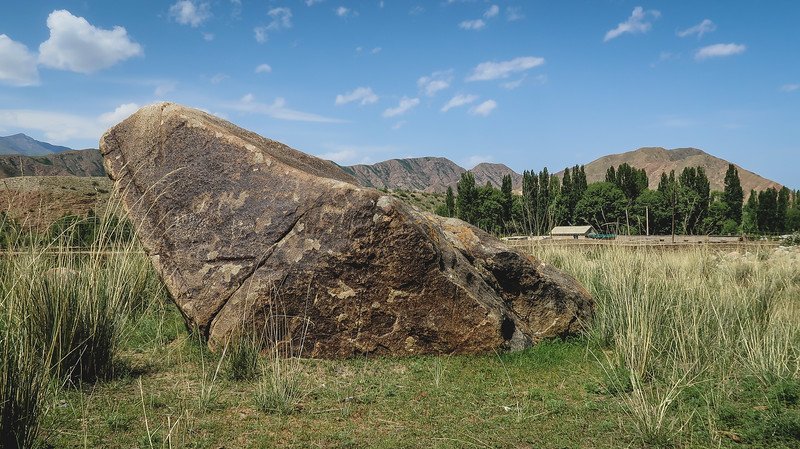 A large boulder with ancient petroglyph carvings set in a grassy field with distant mountains and trees in the background during the 3-Day Panorama Trek in Kyrgyzstan