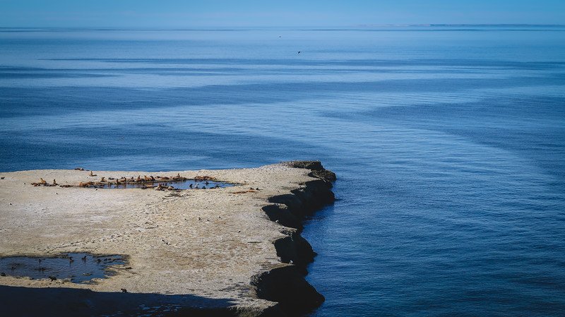 A stunning coastal view of La Lobería near Puerto Pirámides in Península Valdés, Patagonia, Argentina, showing a colony of sea lions resting on a rocky outcrop surrounded by the deep blue waters of the Atlantic Ocean on a clear day
