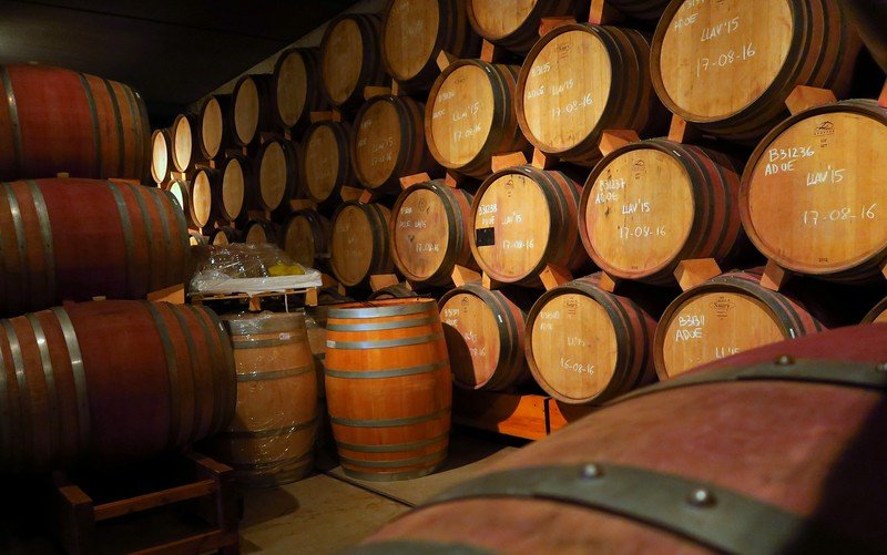 Rows of oak barrels aging wine in the cellar at La Vinyeta winery in Costa Brava, Spain, highlighting the traditional winemaking process and artisanal production methods that make this vineyard a must-visit destination for wine lovers and cultural travelers