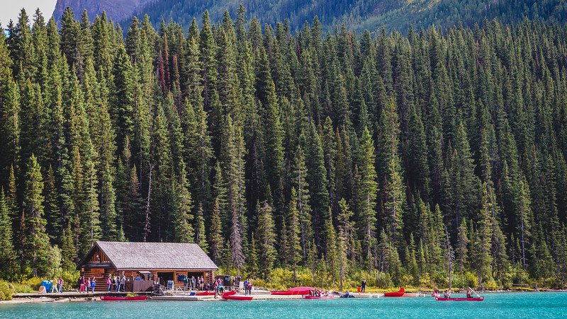 Canoe rental boathouse nestled along the turquoise shoreline of Lake Louise, surrounded by towering evergreen forest, with visitors preparing red canoes for paddling in the Canadian Rockies