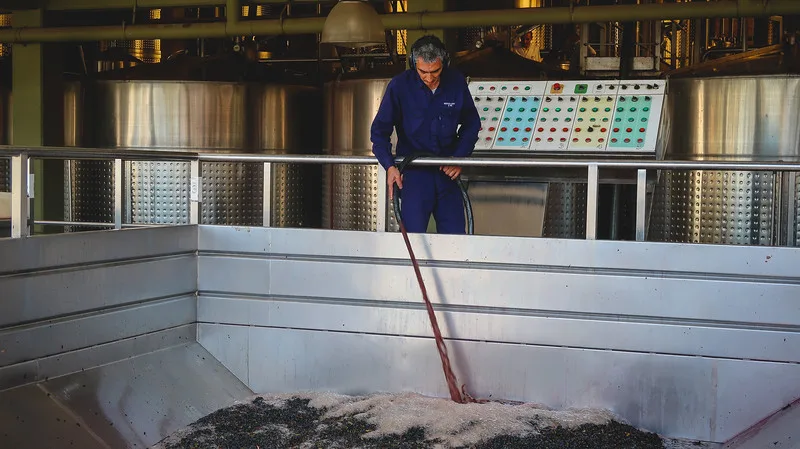 Learning about winemaking at Bodegas Lopez with a man spraying in Mendoza