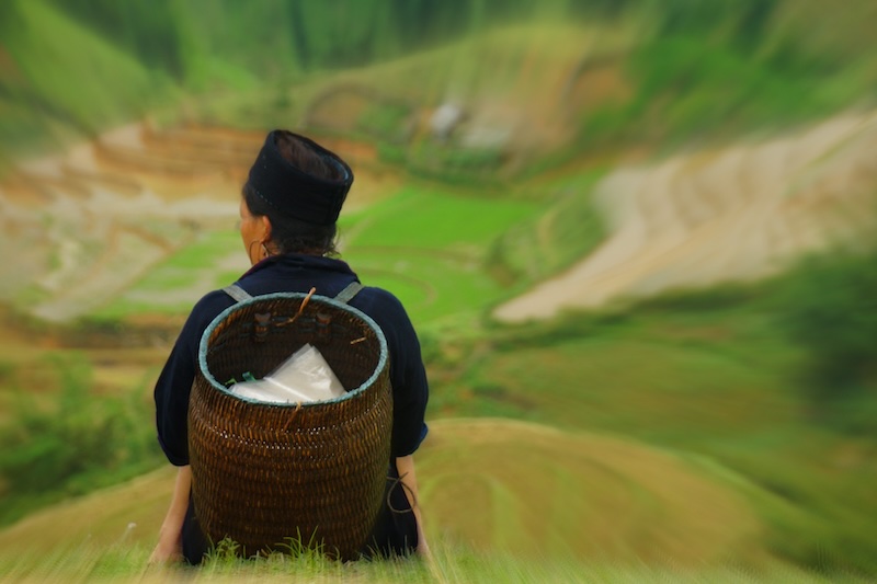 Local Hmong lady sitting down by the rice fields in Sapa, Vietnam 