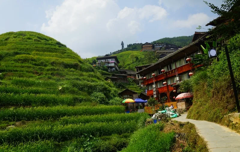 Lonji rice terrace with rural walking path in China 