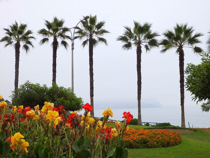 Love Park as a modern park worth checking out in Lima, Peru with beautiful arrangements of flowers and trees lined with walking paths