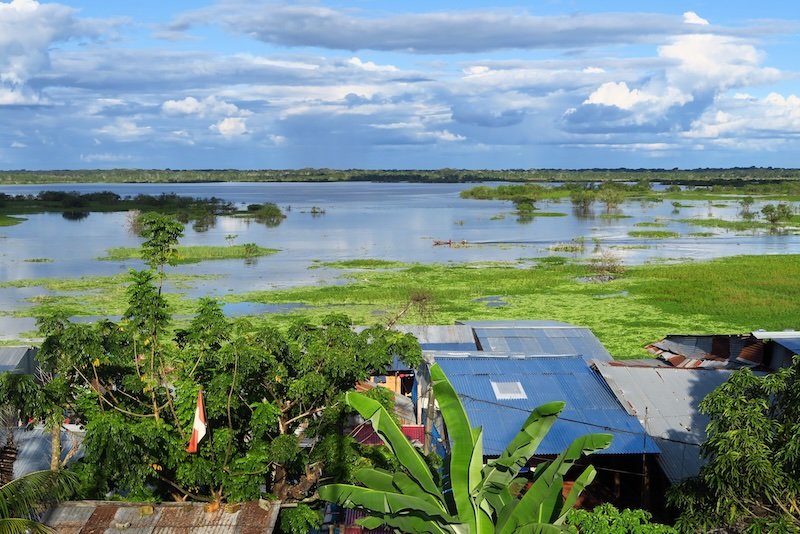 Lush green vegetation and shacks and stilt homes in Iquitos, Peru 
