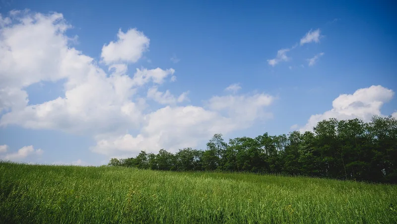 Lush green views at Jecara Farms in Schomberg in Ontario Lush green views at Jecara Farms in Schomberg in Ontario