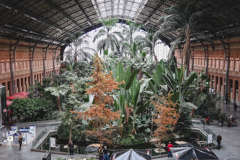 Magnificent train station in Madrid, Spain with incredible botanic gardens inside 