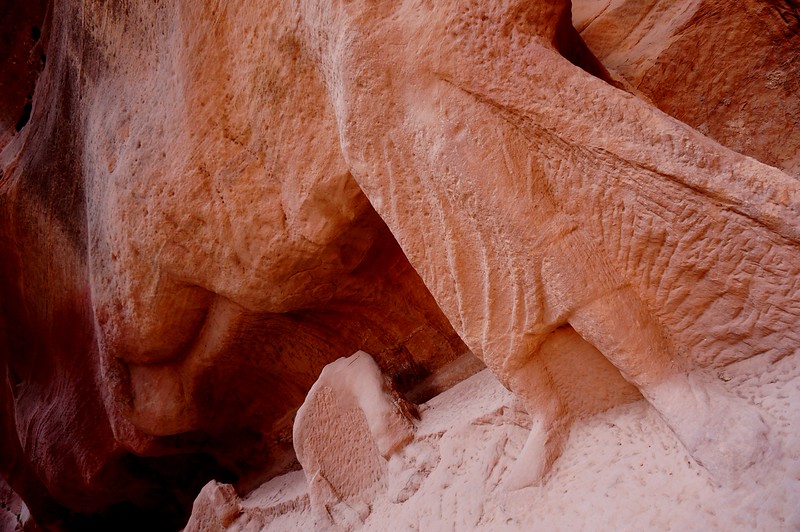 Man leading a camel caravan is one of the most impressive and distinct rock carving in Petra, Jordan