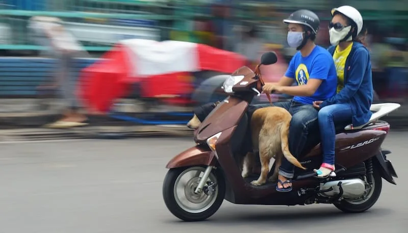 Man, woman and dog on a scooter together in Saigon Ho Chi Minh City, Vietnam 
