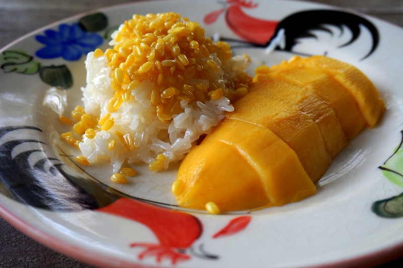 Mango sticky rice topped with crispy mung beans which is a wonderful dessert in Chiang Mai in Thailand