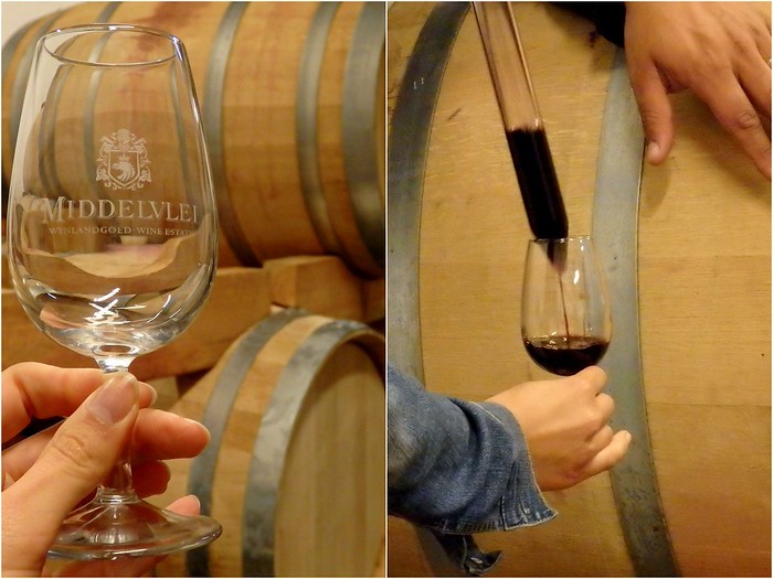 Middlevlei Wine Tour in Stellenbosch, South Africa with wine being poured directly from the barrel  