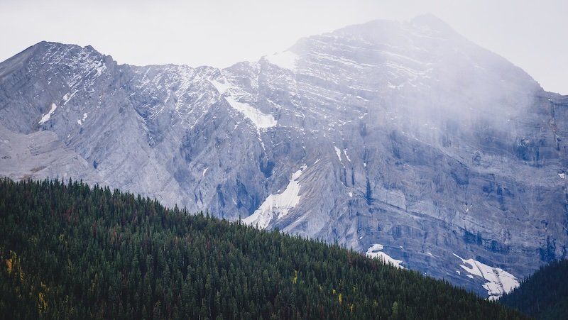 Dramatic grey rocky mountain peaks dusted with snow rising above a dense evergreen forest, partially shrouded in mist, showcasing the rugged alpine scenery of the Canadian Rockies