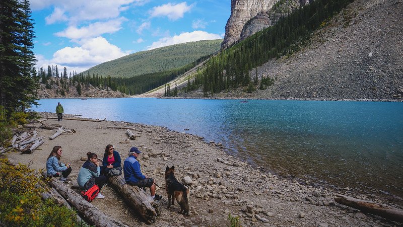 Group of friends and a German Shepherd dog resting on driftwood logs along the rocky shoreline of Moraine Lake, surrounded by turquoise waters, forested hillsides, and rugged mountains in the Canadian Rockies