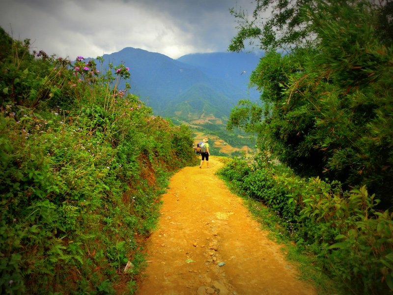 Narrow dirt trekking path cutting through lush green hillsides with wildflowers and bamboo, leading toward misty mountain peaks in Sapa, Vietnam