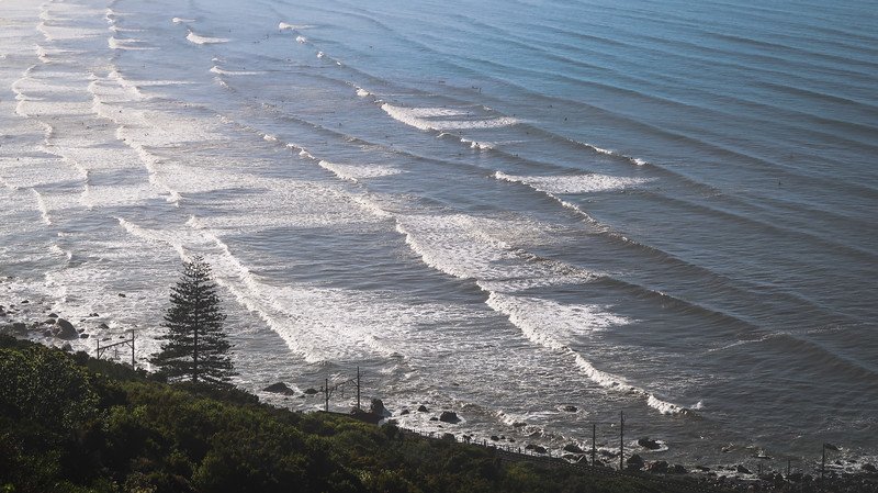 View from the Shark Spotter’s booth overlooking the rolling waves of Muizenberg Beach along the Cape Peninsula. The photo captures perfectly lined surf waves, surfers in the distance, and lush greenery in the foreground on a clear, sunny day