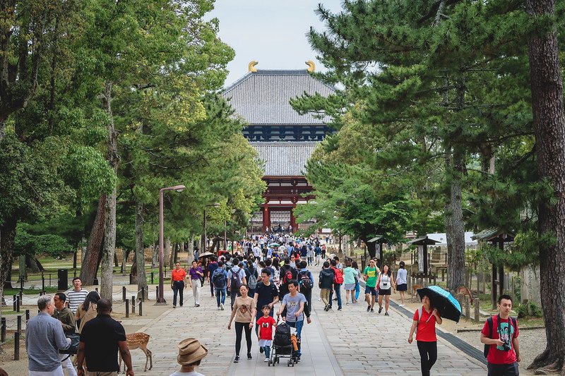 Nara Park is home to numerous shrines and temples and is a popular tourist destination as witnessed by the bustling crowd of tourists Nara Park is home to numerous shrines and temples and is a popular tourist destination as witnessed by the bustling crowd of tourists
