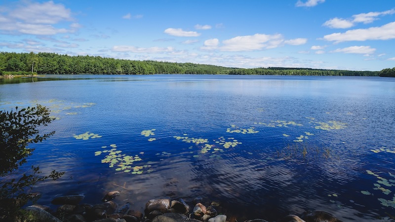 Nature at its finest visiting Mahone Bay, Nova Scotia, Canada Nature at its finest visiting Mahone Bay, Nova Scotia, Canada