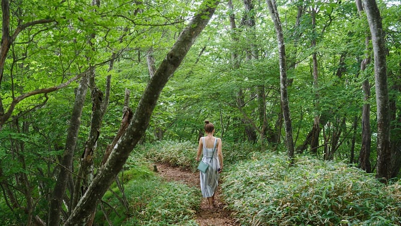 Nikko is a longer day trip from Tokyo but it can be done with That Backpacker Audrey Bergner exploring nature trails Nikko is a longer day trip from Tokyo but it can be done with That Backpacker Audrey Bergner exploring nature trails