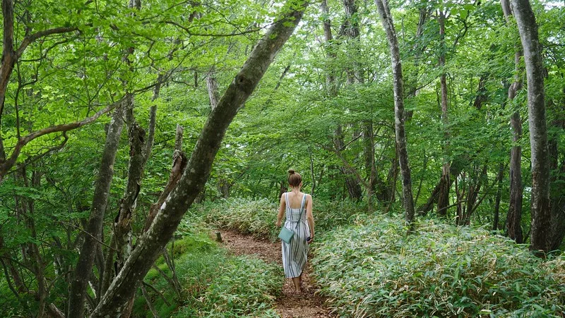 Nikko is a longer day trip from Tokyo but it can be done with That Backpacker Audrey Bergner exploring nature trails Nikko is a longer day trip from Tokyo but it can be done with That Backpacker Audrey Bergner exploring nature trails