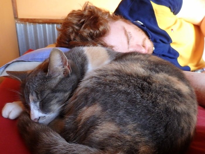 Nomadic Samuel curling up with a cute cat along the Wild Coast in South Africa backpacking trip 