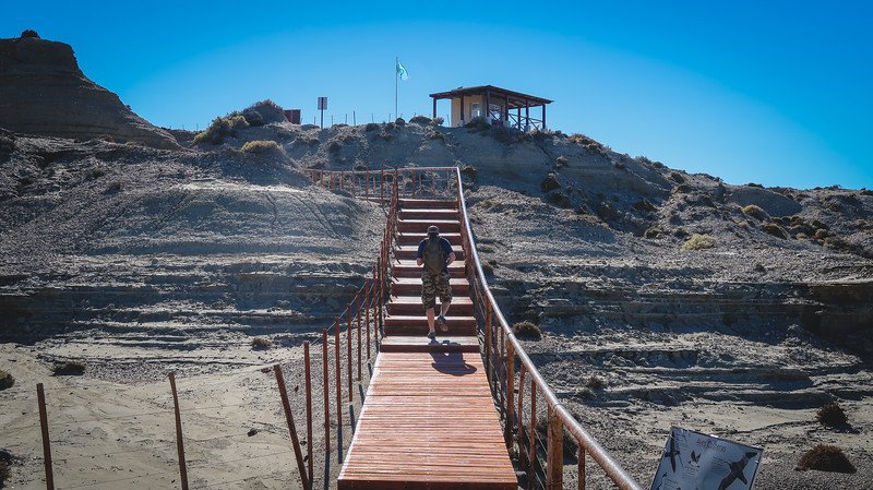 Nomadic Samuel climbs a wooden staircase under the clear blue Patagonian sky on the trail leading to La Lobería, the sea lion colony viewpoint near Puerto Pirámides in Península Valdés, Argentina, a popular wildlife and hiking destination