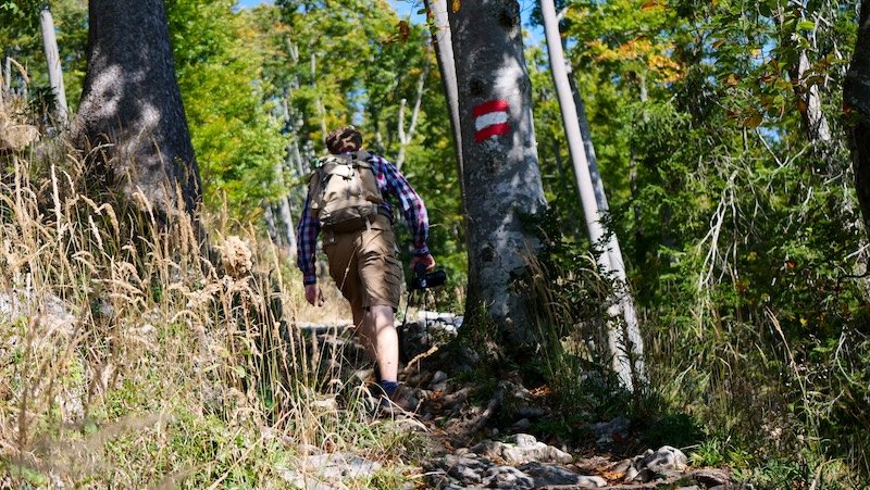 Nomadic Samuel in action hiking the steep trail in Gaisberg, Austria 