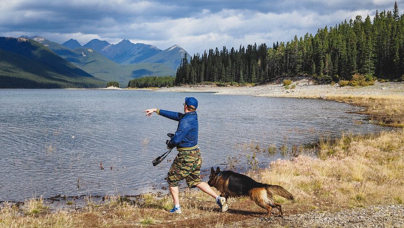 Nomadic Samuel playing fetch with their dog Togo along the rocky shoreline of a tranquil lake in Kananaskis Country, surrounded by dense evergreen forest and distant mountain peaks on a Canadian Rockies road trip adventure