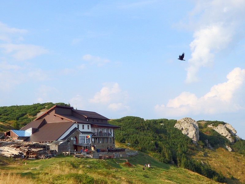 Overnight stay in Cabana Dochia atop the mountain in Ceahlău National Park, Romania with a bird soaring in the sky 