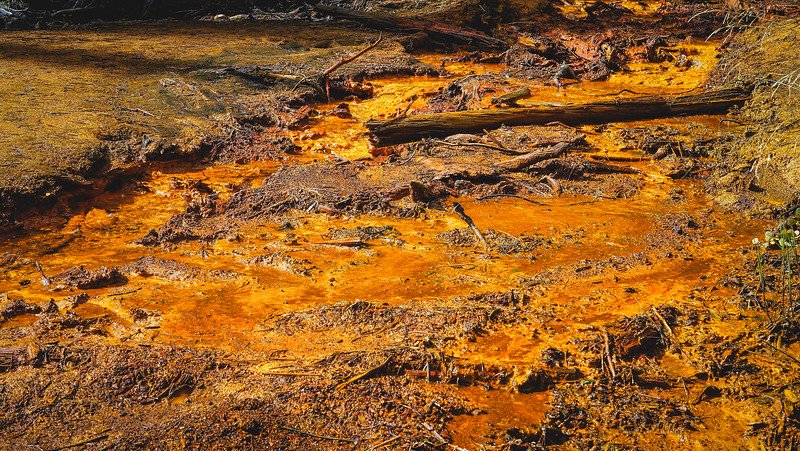 Vivid orange-red iron-rich ground and mineral-stained soil surrounding the Paint Pots in Kootenay National Park, showcasing the striking natural colours found in this part of the Canadian Rockies