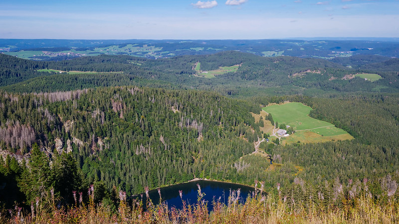 Panoramic views from Feldberg, the highest mountain in the Black Forest with forest and lake views from high above