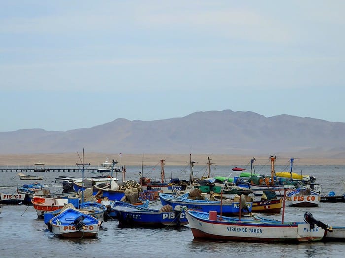 Paracas and Islas Ballestas is an easy weekend trip from Lima, Peru and a great spot to watch wildlife on a boat tour 