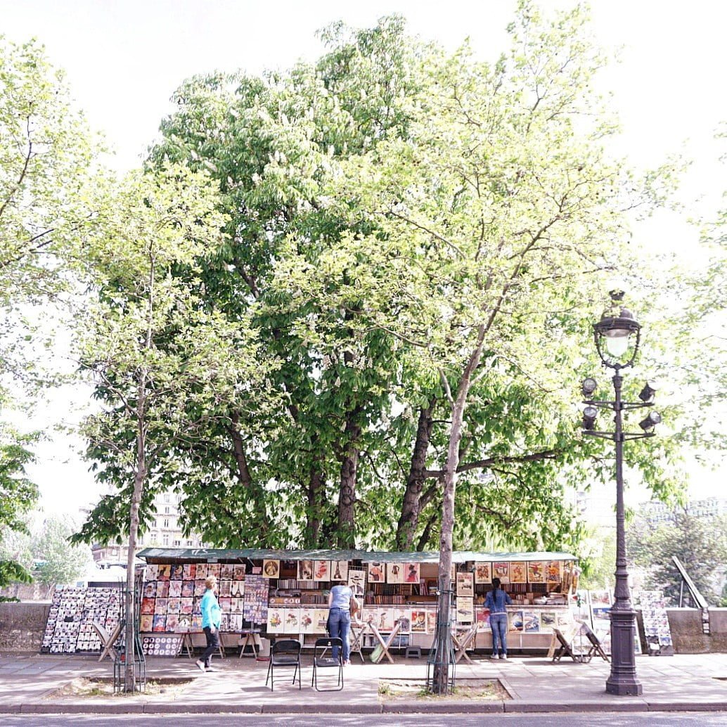 Paris bouquinistes are opportunities to enrich your mind. Pick up a book or two or three!