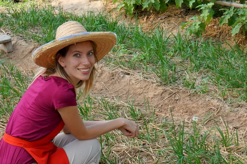 Picking local Thai ingredients from the farm to make Thai food as highlighted by Audrey Bergner That Backpacker Picking local Thai ingredients from the farm to make Thai food as highlighted by Audrey Bergner That Backpacker