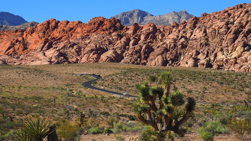 Places to travel in Nevada for nature with a a scenic and serpentine drive in Red Rock Canyon with stunning landscapes