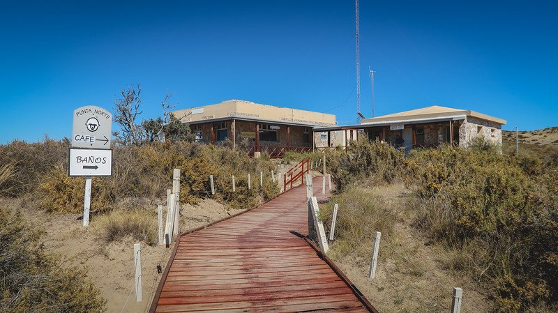 Wooden boardwalk leading to the Visitor Centre at Punta Norte on Península Valdés, Argentina, under a clear blue sky. The centre offers information, a café, and restrooms, serving as the starting point for wildlife viewing of sea lions, orcas, and coastal hikes