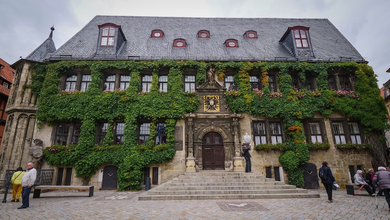 Quedlinburg town hall building covered in ivy 
