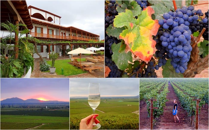 Queirolo Vineyard in Ica is a relaxing weekend trip from Lima where you can indulge in wine tourism and rest and relaxation to the max