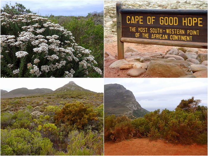 Reaching the Cape of Good Hope, The Most South-Western Point Of The African Continent with distinct natural landscape to offer visitors 