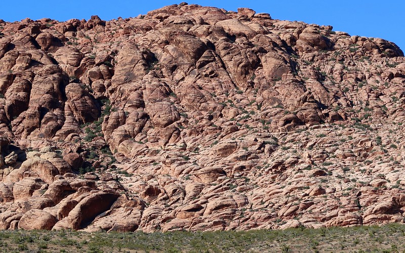 Red Rock Canyon is just 20 minutes from the Vegas strip making it a super easy nature escape in Nevada with many distinct landscapes 