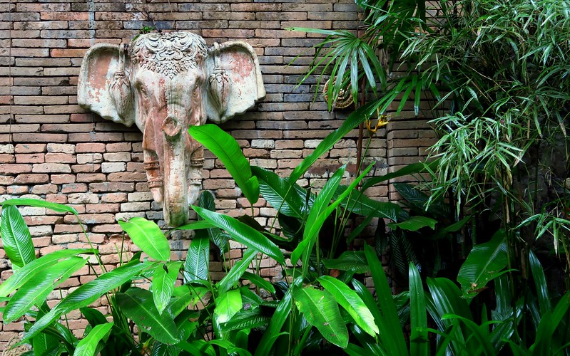 Revisiting & Exploring an entirely New Side of Chiang Mai, Thailand
